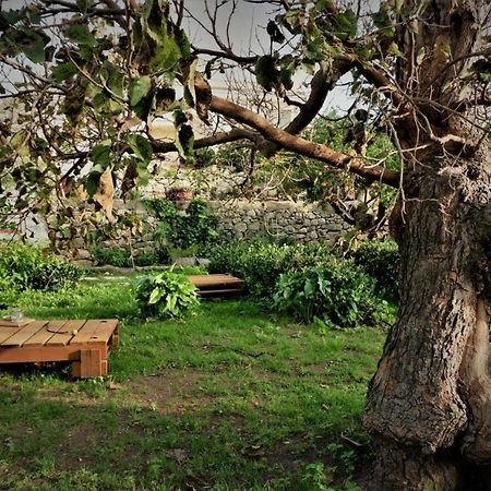 Bed and Breakfast Giardino Farina Dimora Storica Santa Croce Camerina Exterior foto